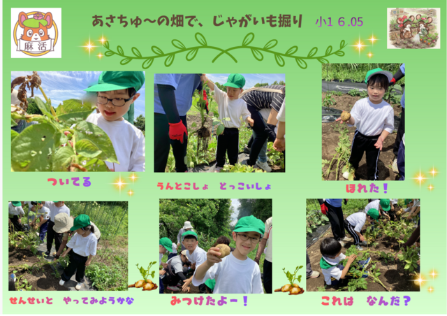麻活小1 麻活小1