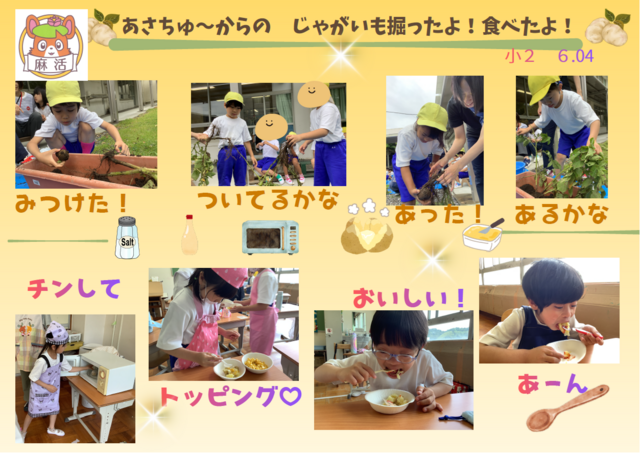 麻活小2 麻活小2