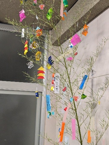 Tanabata1