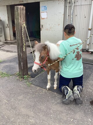 _2026-09-02 17-54-57_部活動紹介 動物愛好部_2_IMG_0471