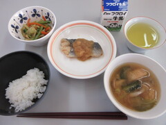 10月5日 81005