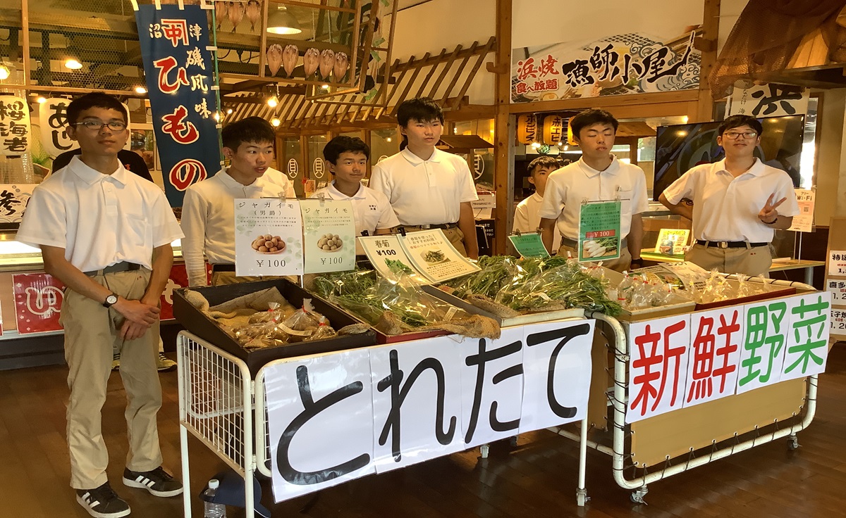 1年販売