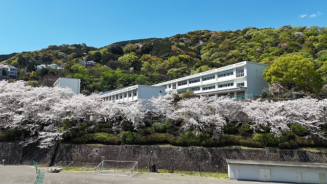 体験入学等