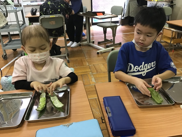 そらまめ① 初めてそらまめのサヤの内側に触れるこどもたち。