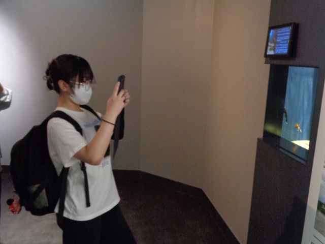 DSC07962 普段なかなか出会えない不思議な色や形の魚にも出会えました。