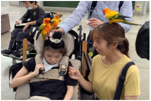 中３　修学旅行１