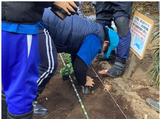 中学部　花植え１