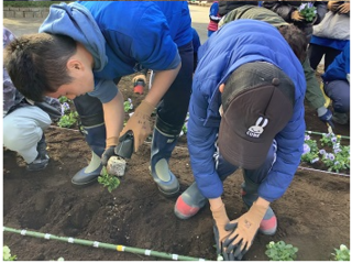 中学部　花植え２