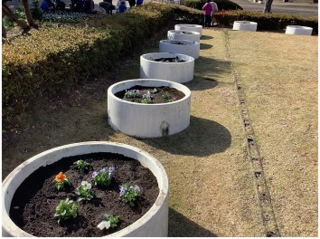中学部　花植え７