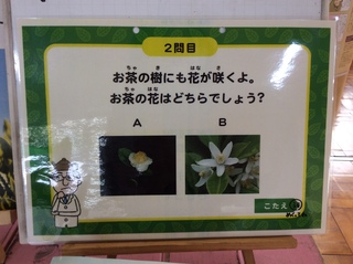 051305