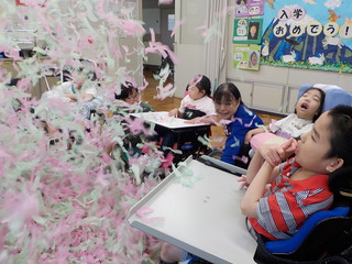 DSCN0784