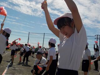 DSCN7991