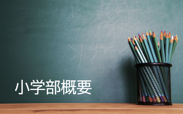 小学部概要
