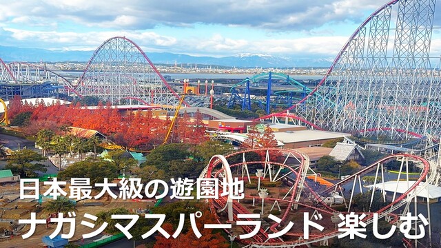 ★値下げしました★ナツメカズキ　コースター ☆値下げしました☆ナツメカズキ コースター 2025年最新】ナツメカズキ