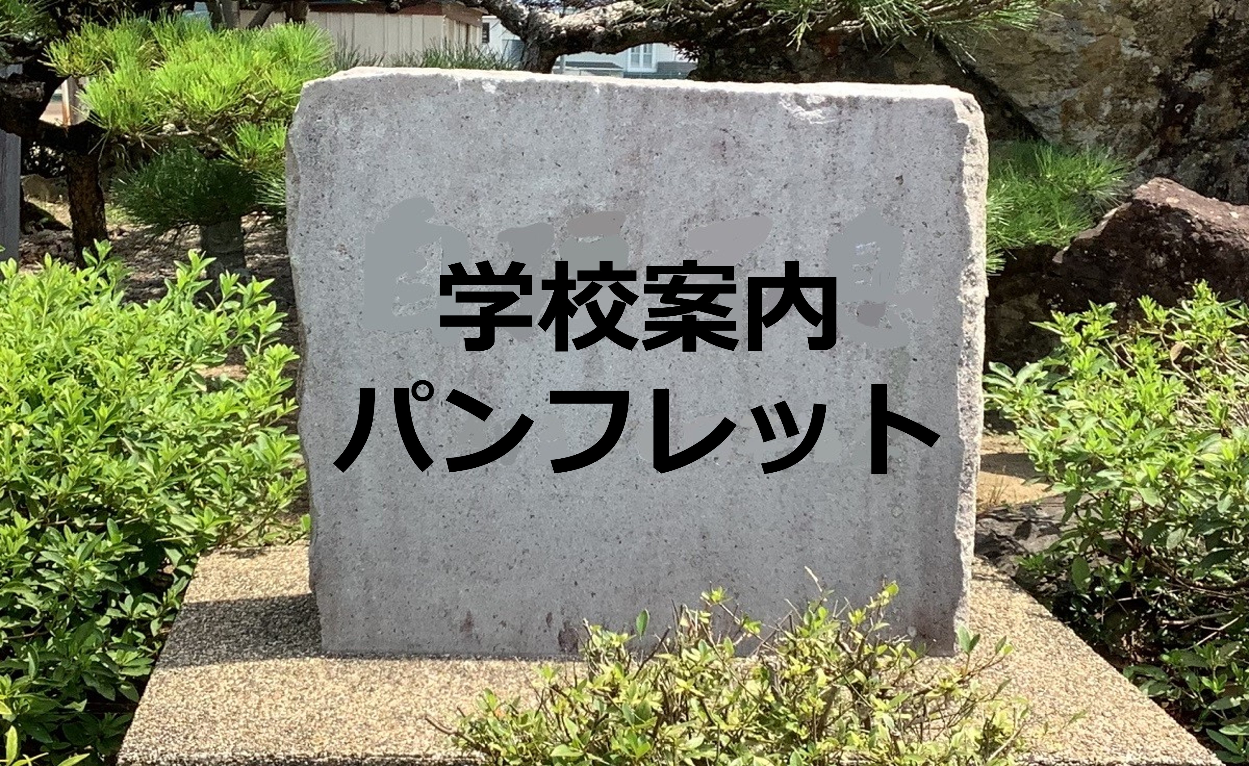 学校案内パンフレット