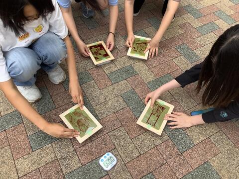 kaiga1