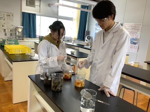 chem-chaba1
