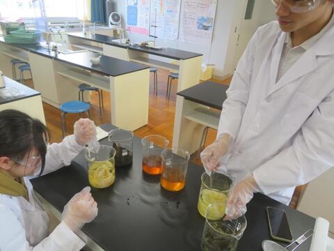 chem-chaba2 chem-chaba2