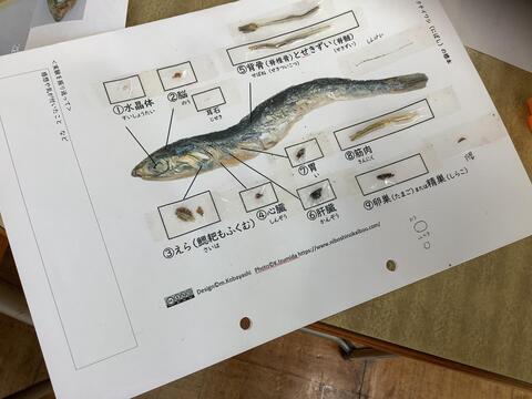 seibutukiso4 seibutukiso4