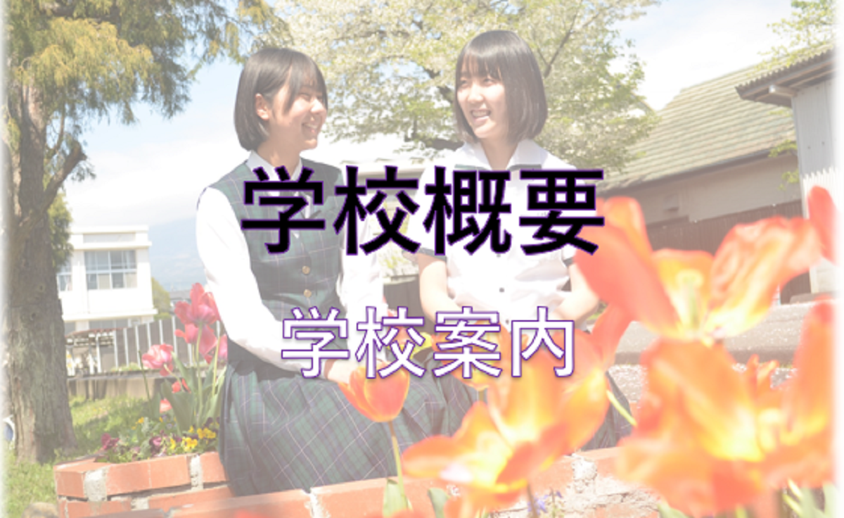学校概要