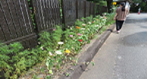 花壇