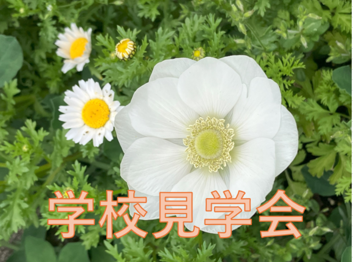 学校見学会パンフレット