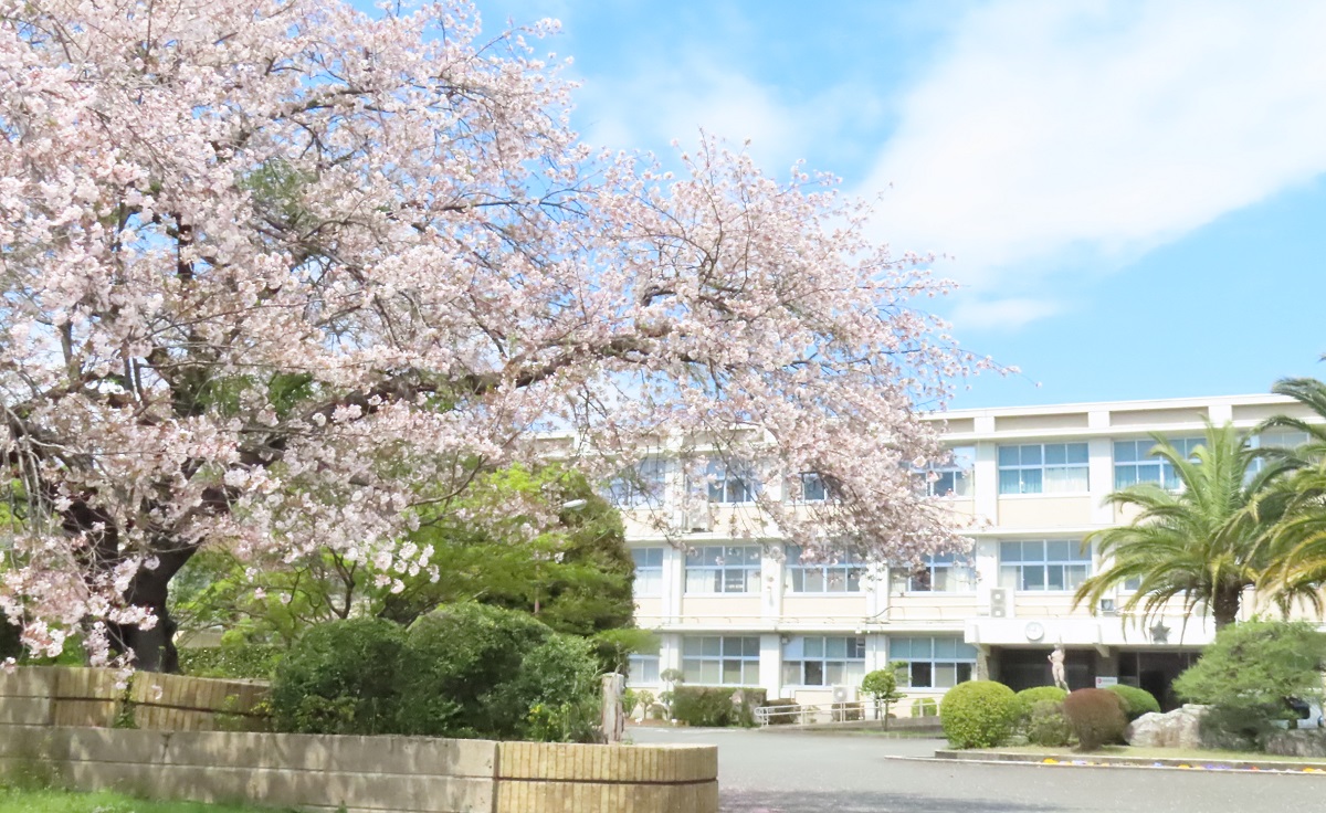 校舎と桜