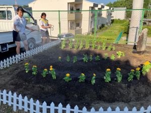 植え付け後