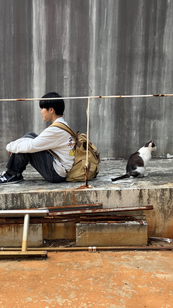 少年と猫