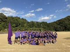 29