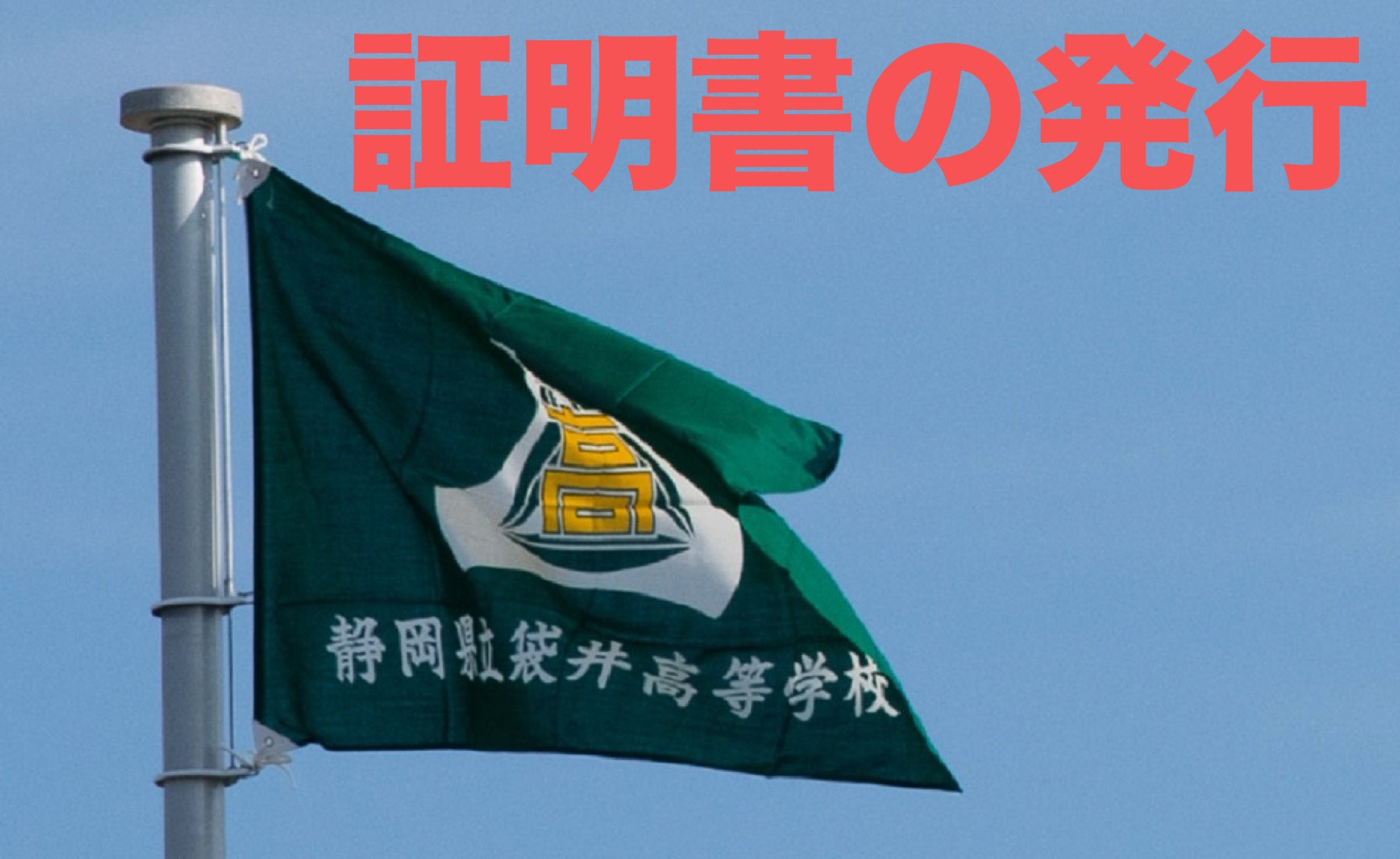 証明書・学割の発行