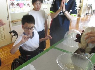 画像6