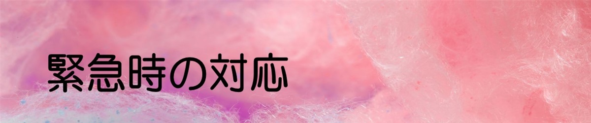 緊急時の対応