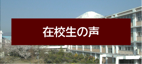 在校生の生の声