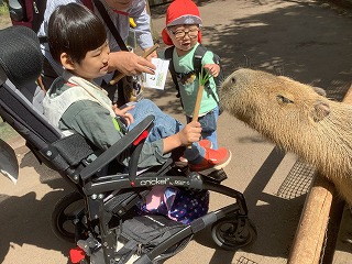 えさやり体験１