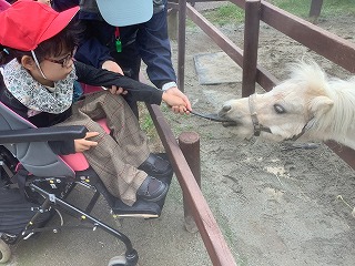 えさやり体験２