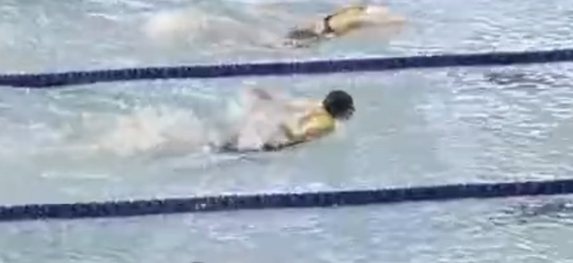 水泳2 水泳2