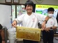 長坂養蜂場