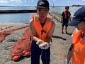 囲い網③
