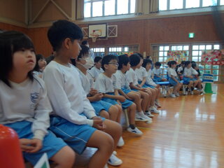 全体