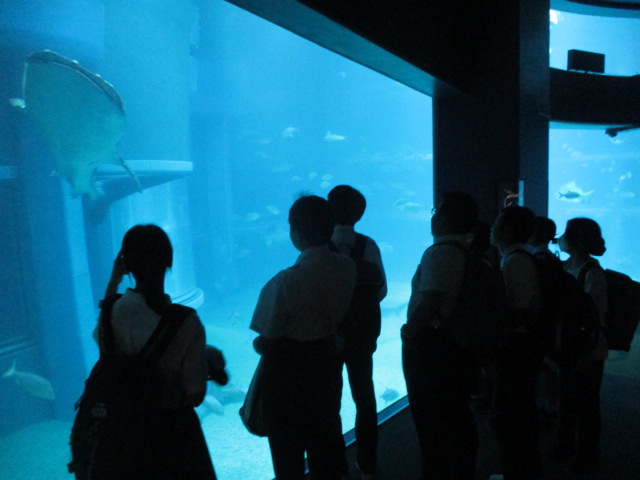 高等部３年５月９