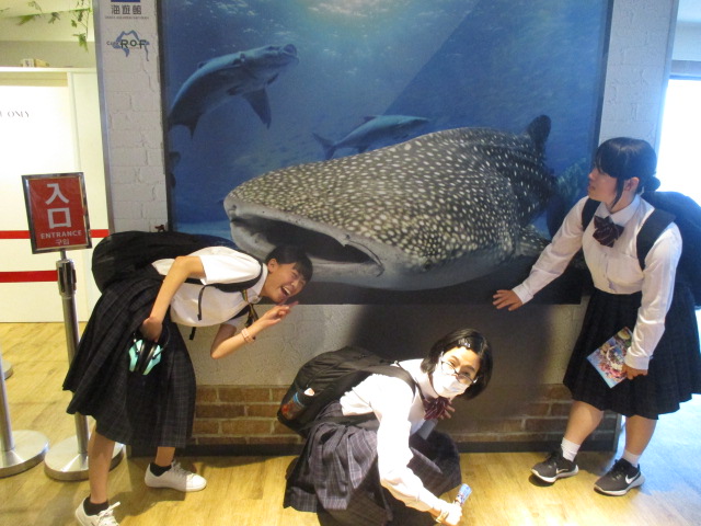 高等部３年５月９