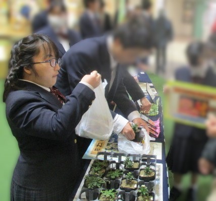 サンストリート浜北