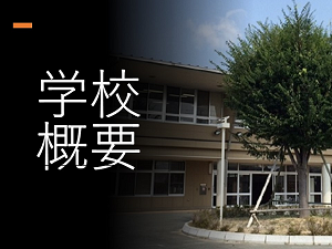 学校概要