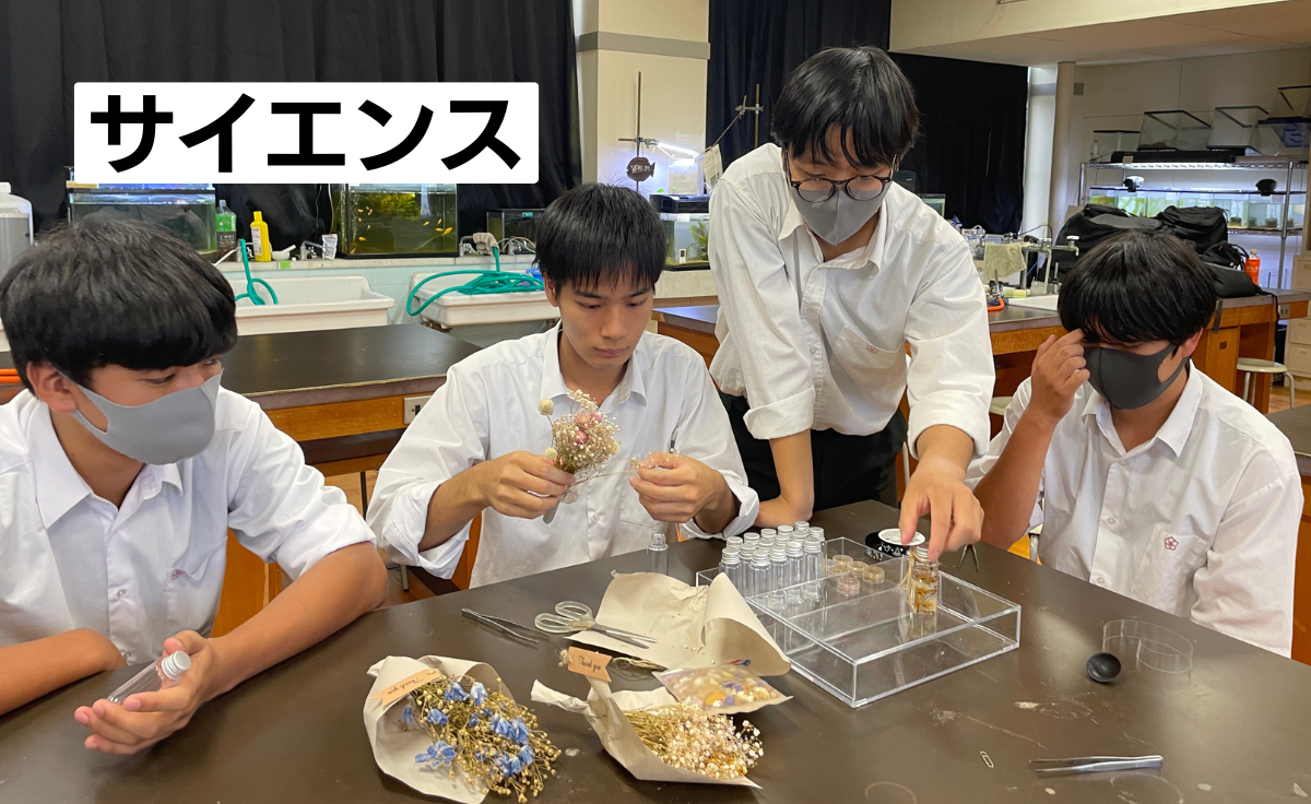 サイエンス