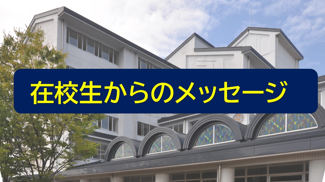 在校生からのメッセージ