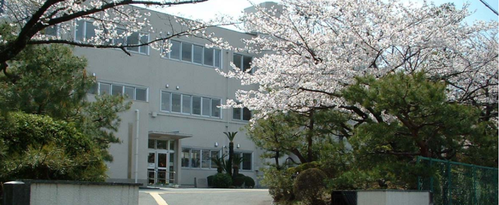 桜と校舎