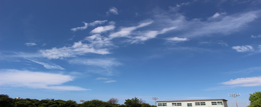 静岡県立浜松特別支援学校