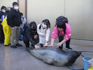 宮島
