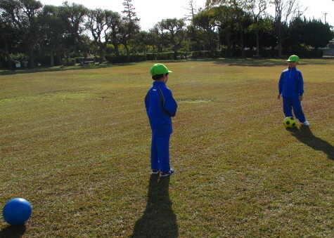 芝生公園